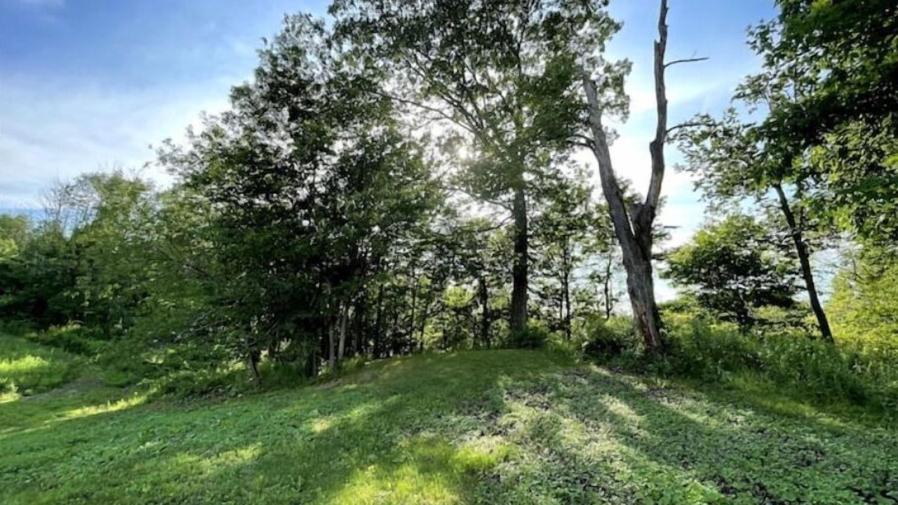Photo of Outdoor in Selkirk