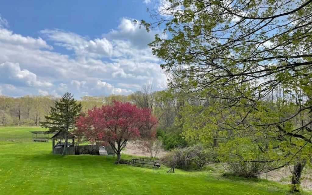 Photo of Outdoor in Selkirk