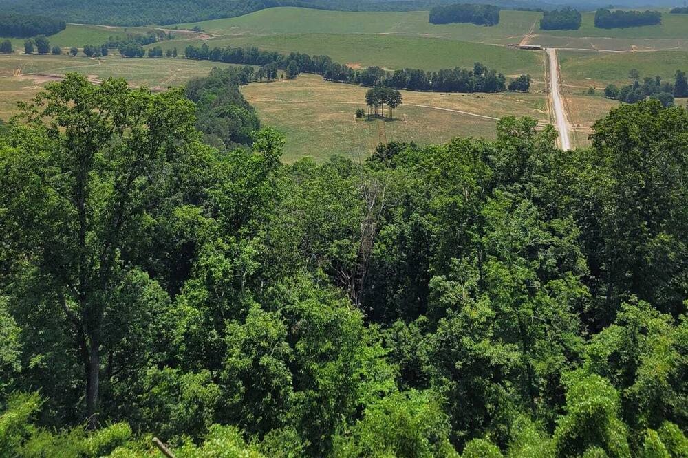 Photo of Others in Fort Payne