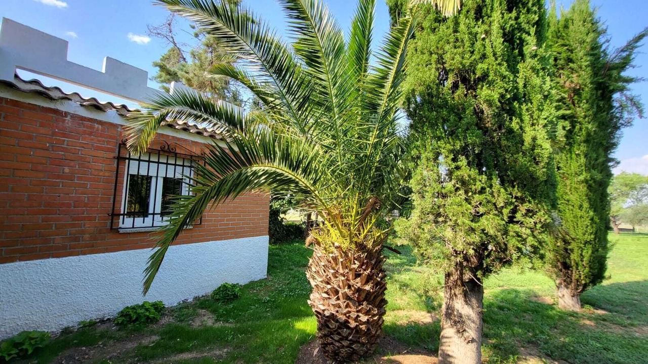 Photo of Outdoor in San Martin de Montalban
