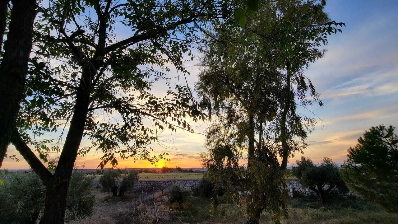Photo of Outdoor in San Martin de Montalban