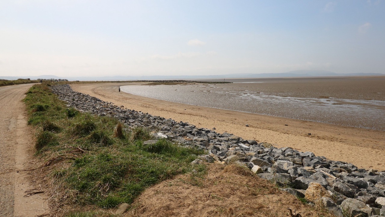 Photo of Others in Llanelli