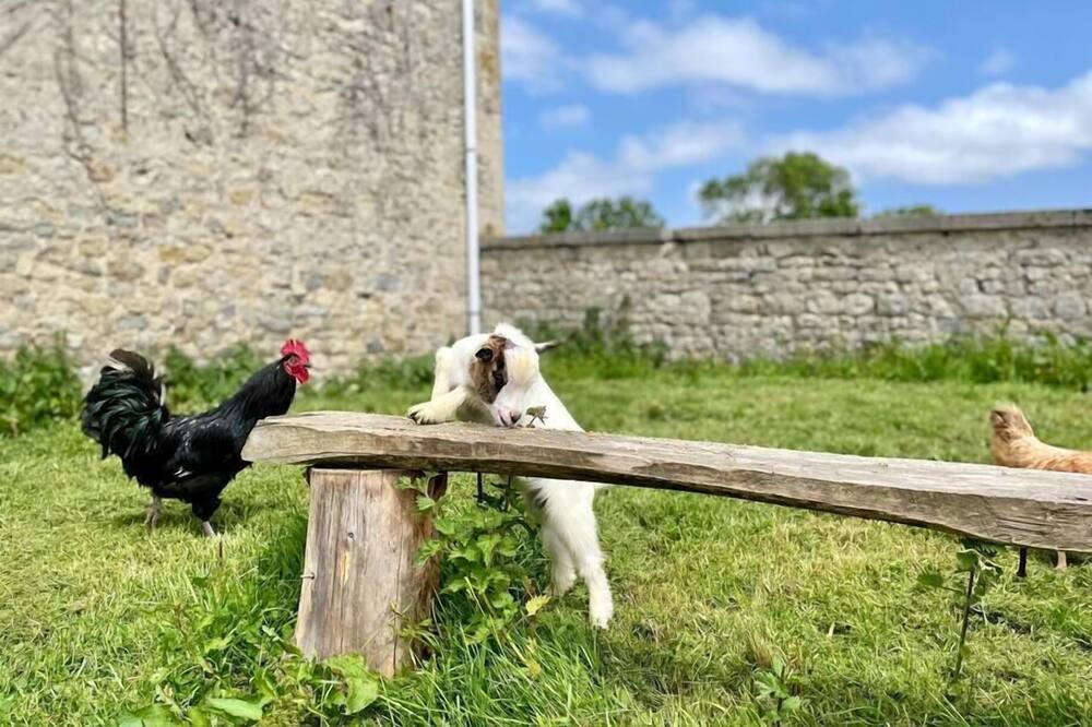 Photo of Outdoor in Cottun