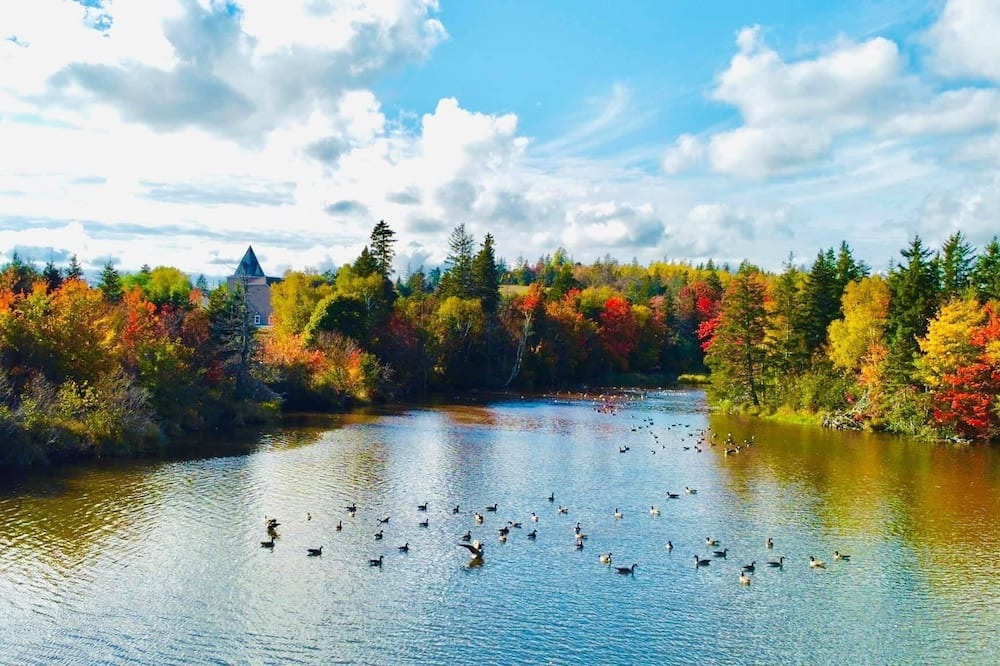 Photo of Outdoor in New Glasgow
