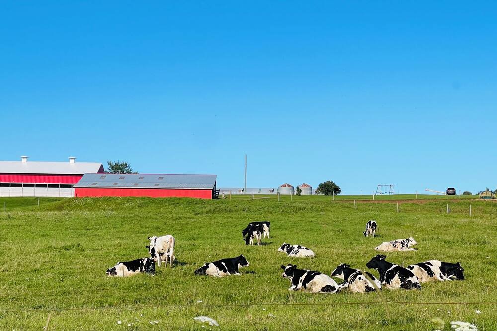Photo of Others in New Glasgow