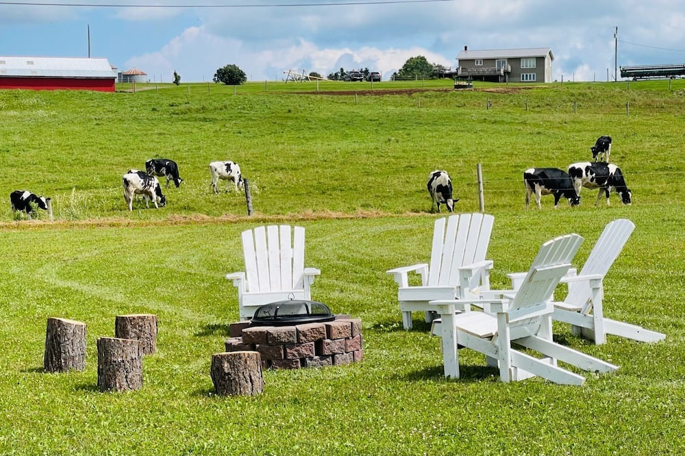 Photo of Outdoor in New Glasgow