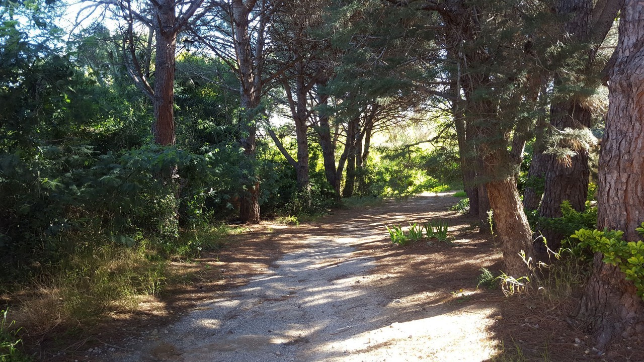 Photo of Outdoor in Plage d'Argeles