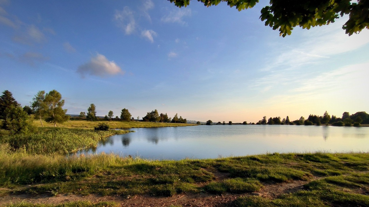 Photo of Others in Murat-le-Quaire