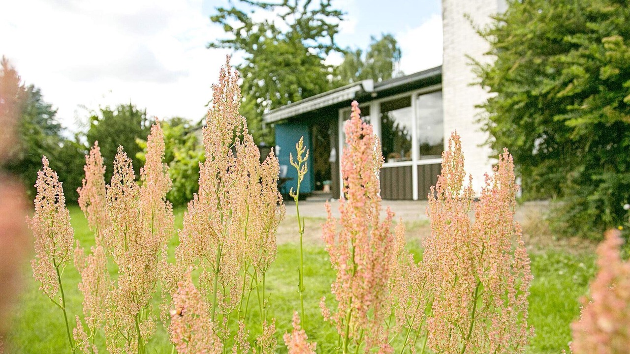 Photo of Outdoor in Frørup