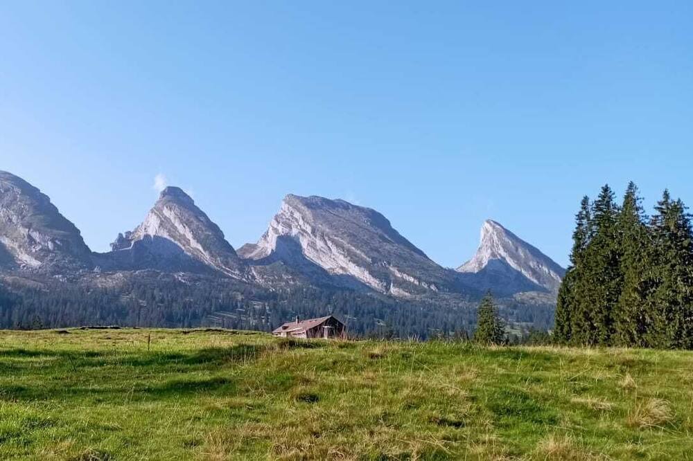 Photo of Outdoor in Wildhaus