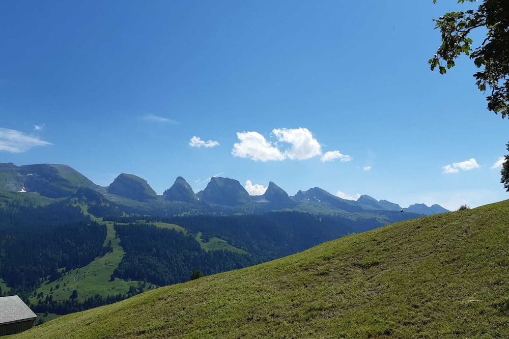 Photo of Outdoor in Wildhaus