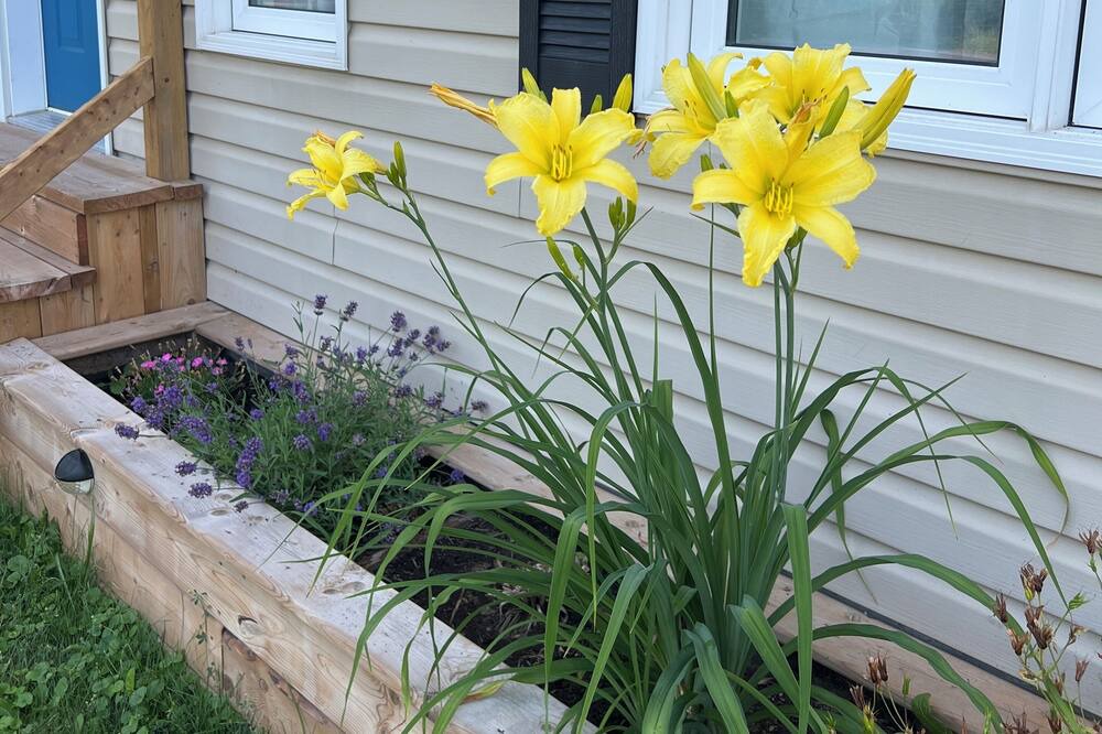 Photo of Outdoor in Cannifton