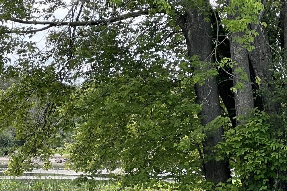 Photo of Others in Cannifton