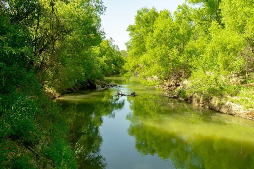 Photo of Outdoor in Elmendorf