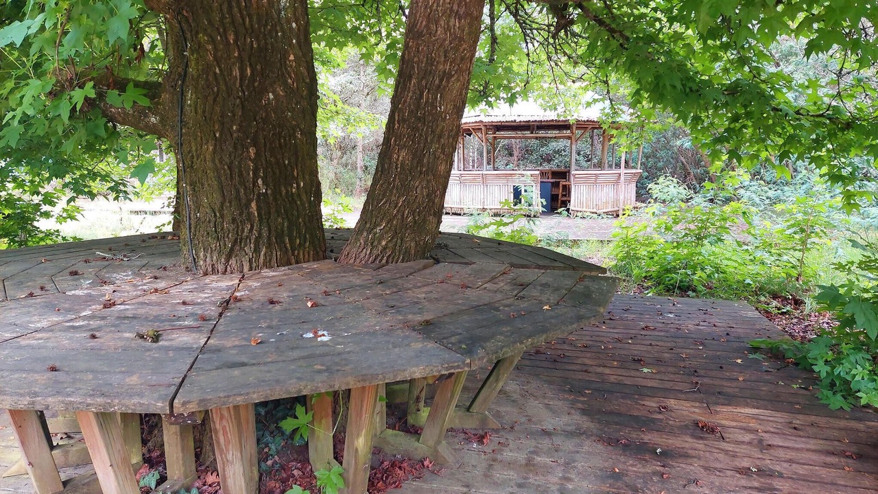 Photo of Outdoor in Merignac