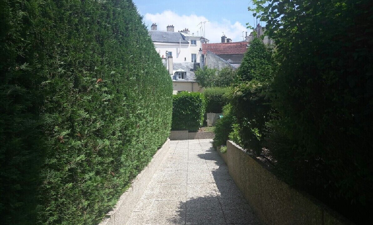 Photo of Outdoor in Notre-Dame