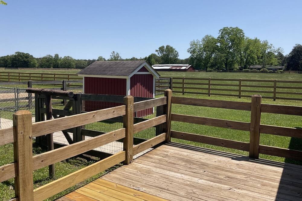 Photo of Outdoor in Eastabuchie