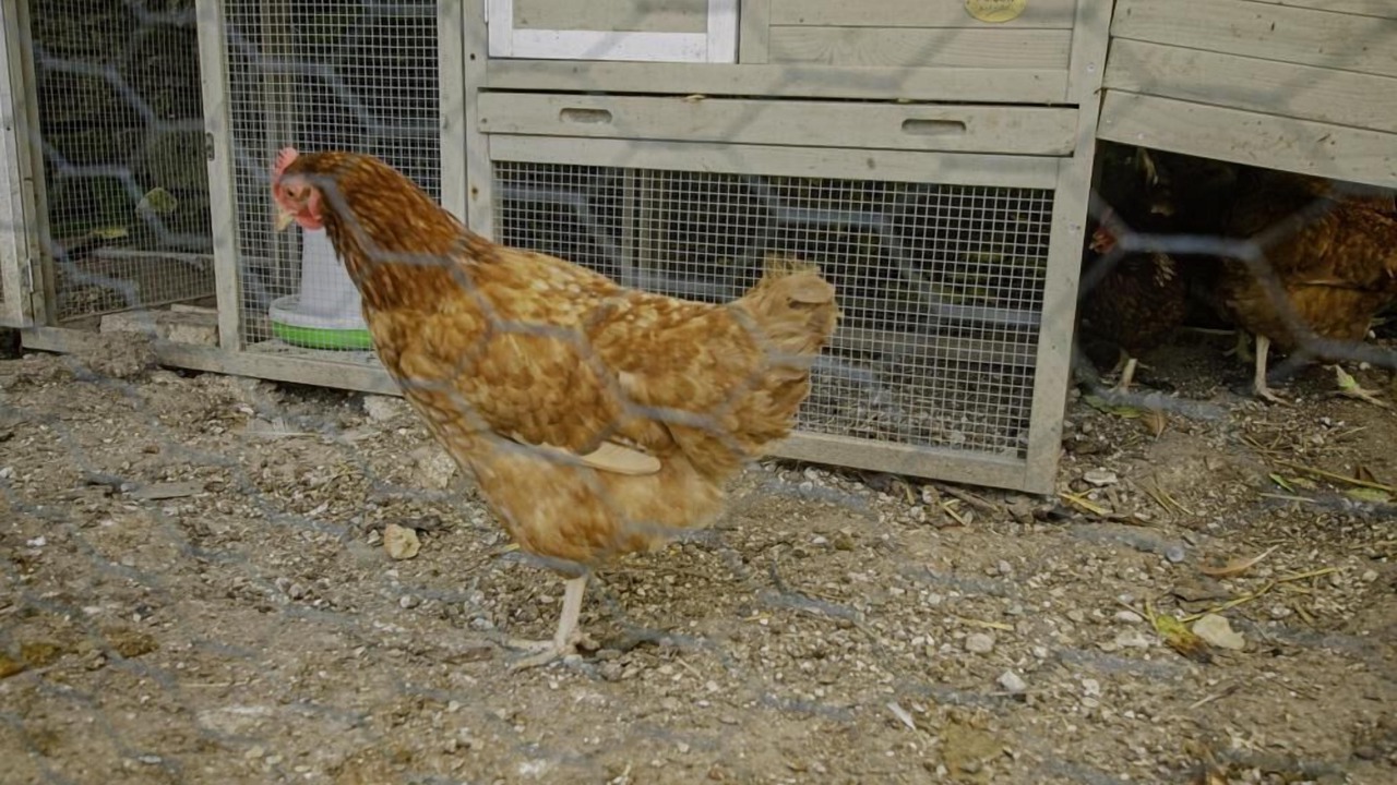 Photo of Others in Balnot-la-Grange