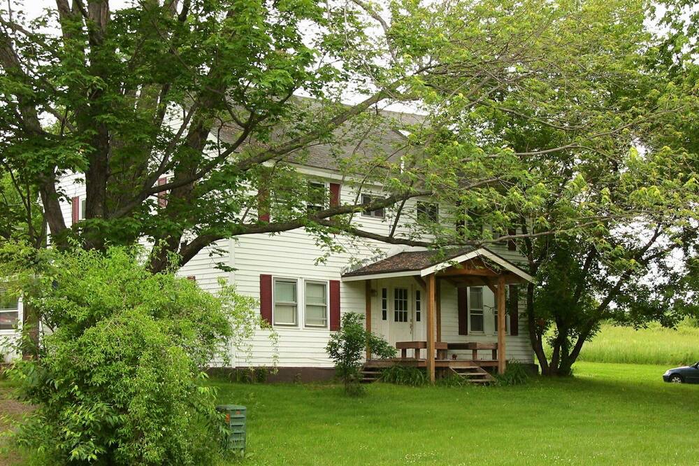 Photo of Outdoor in Johnsonville