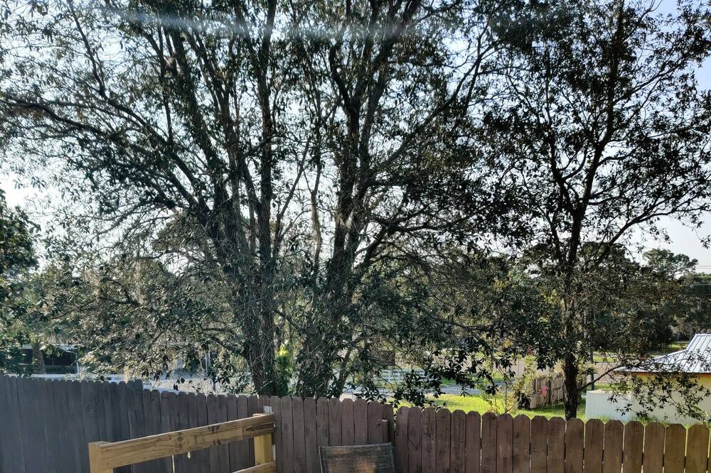 Photo of Outdoor in Citrus County