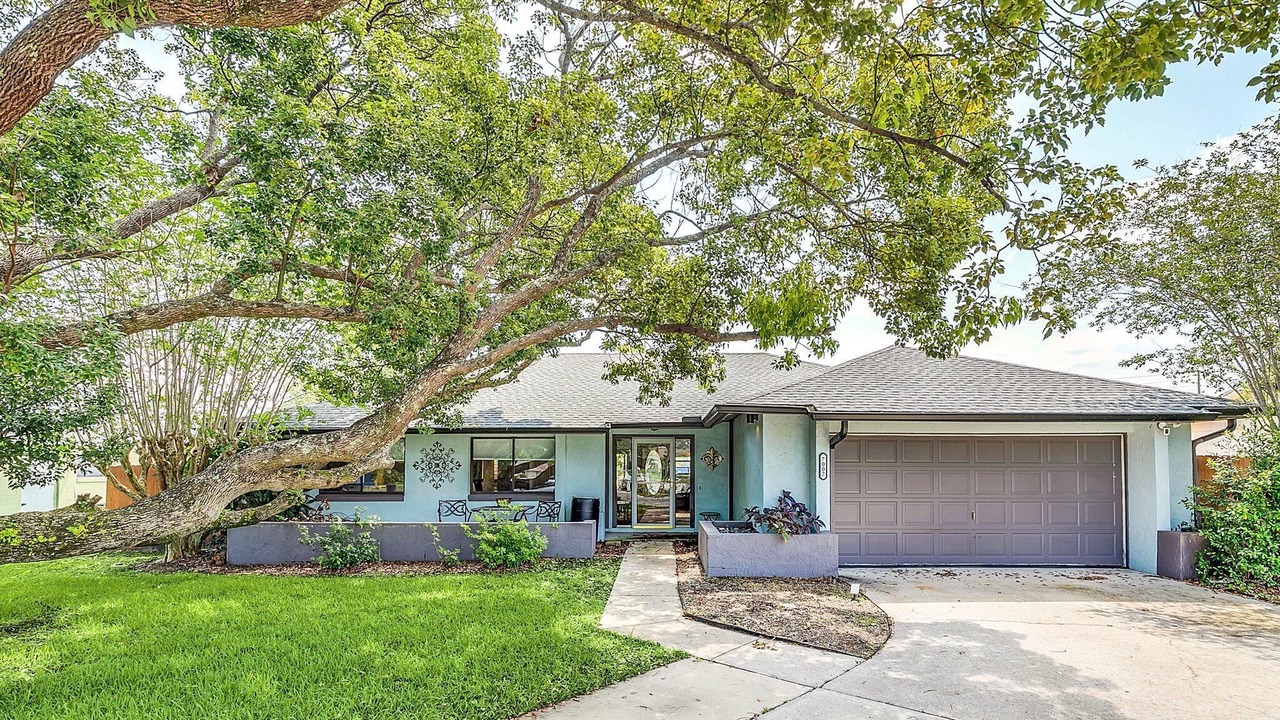 Photo of Others in Goldenrod