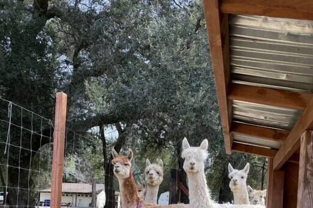 Photo of Others in Descanso
