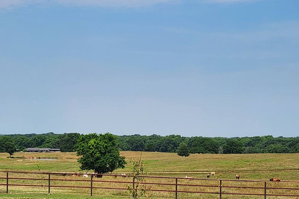 Photo of Outdoor in Coleman