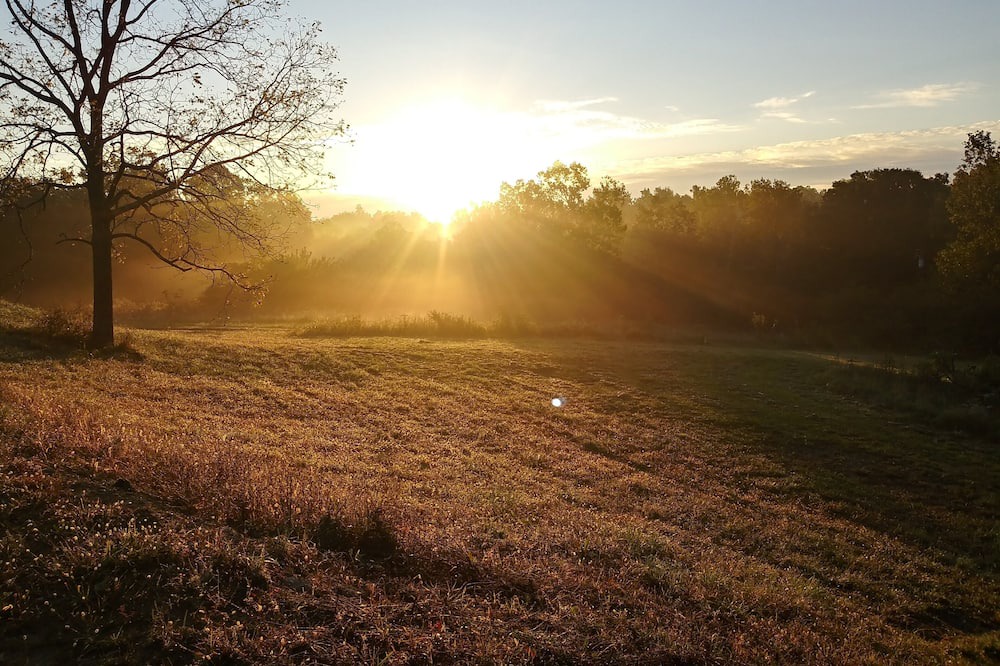 Photo of Outdoor in Port Royal