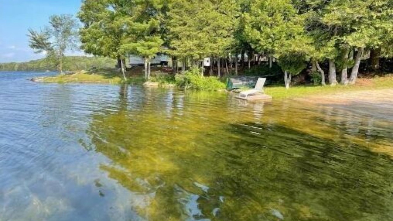 Photo of Others in Frontenac