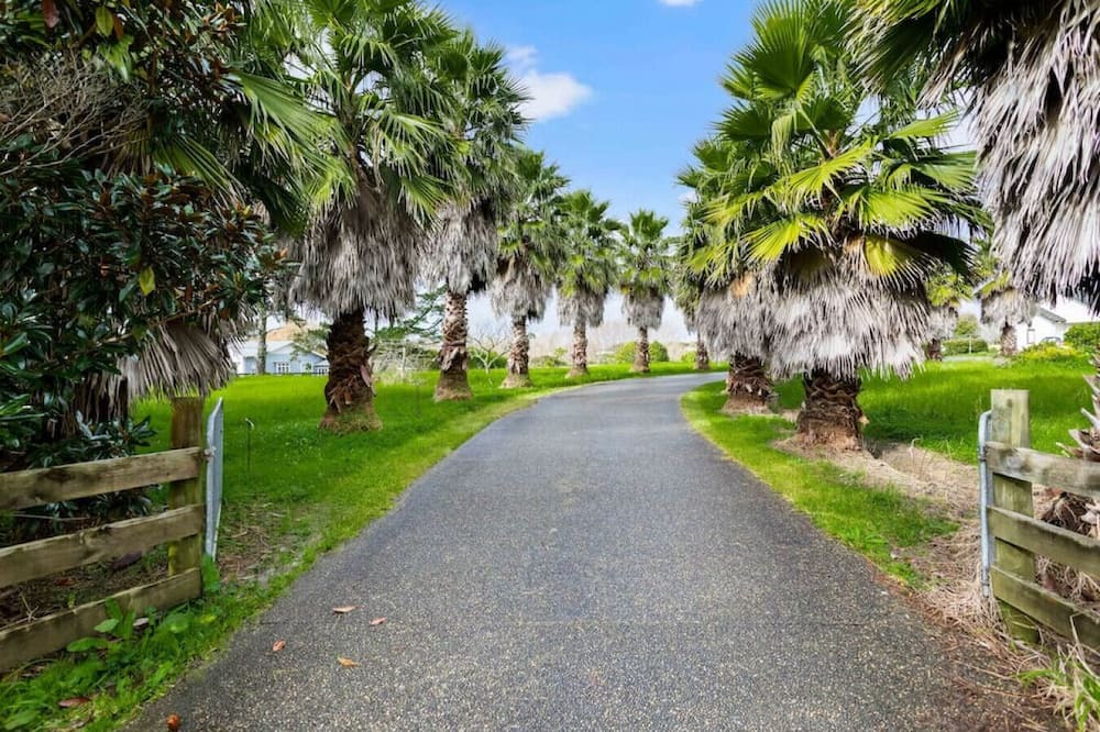 Photo of Others in Dairy Flat