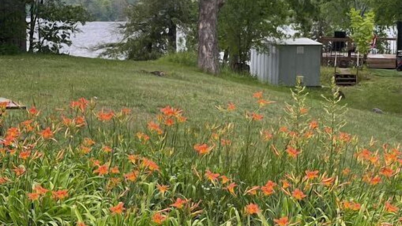 Photo of Outdoor in Frontenac