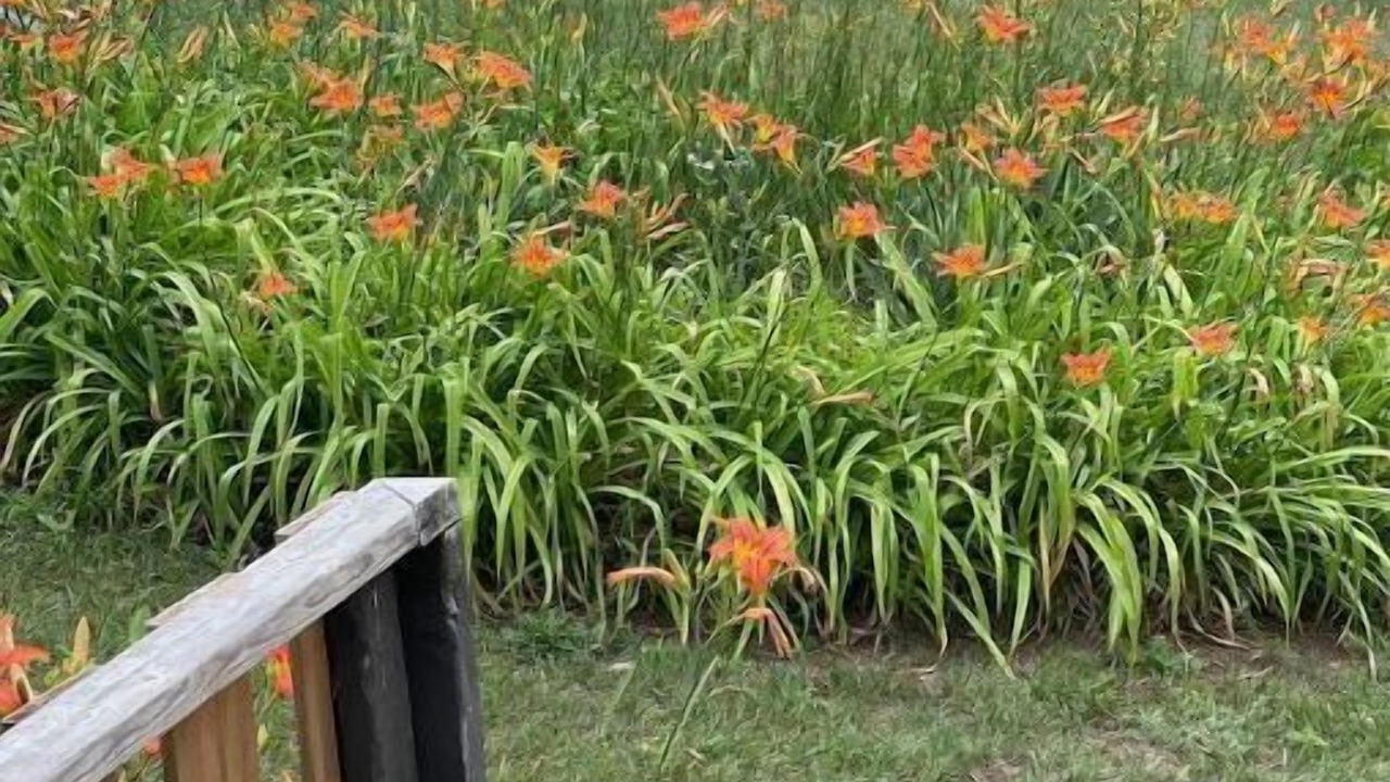 Photo of Outdoor in Frontenac