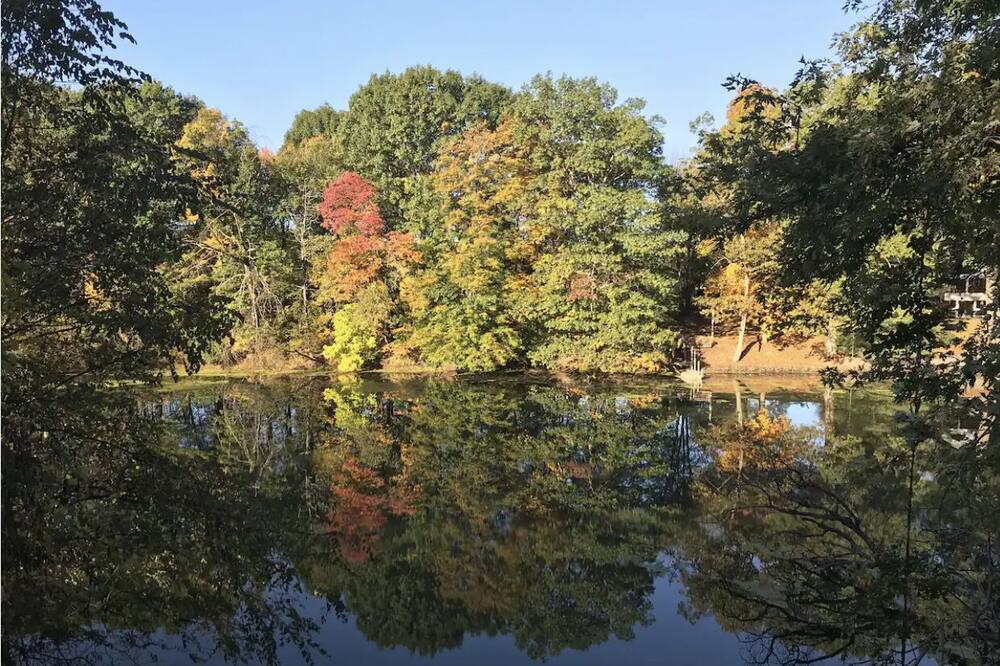 Photo of Outdoor in Mount Marion