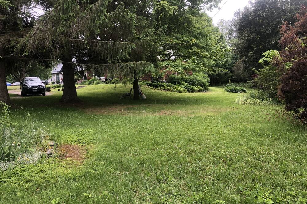 Photo of Outdoor in Grafton