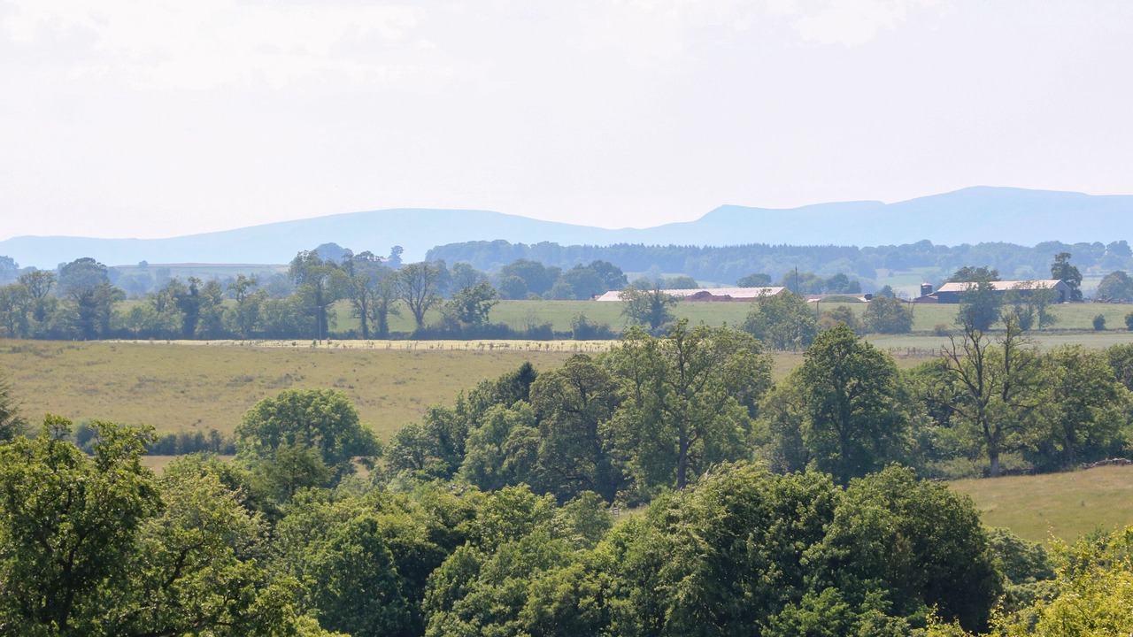 Photo of Outdoor in King's Meaburn