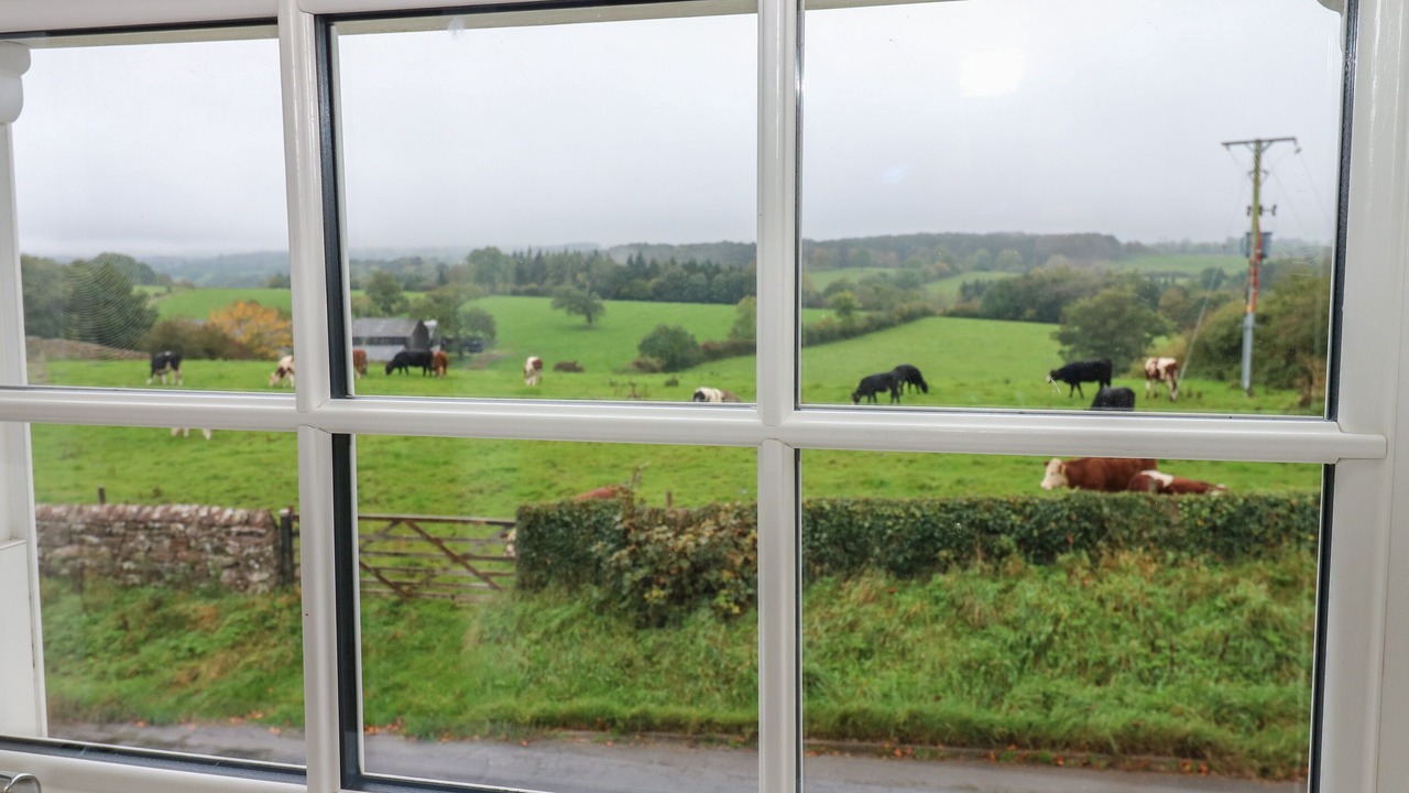 Photo of Others in King's Meaburn