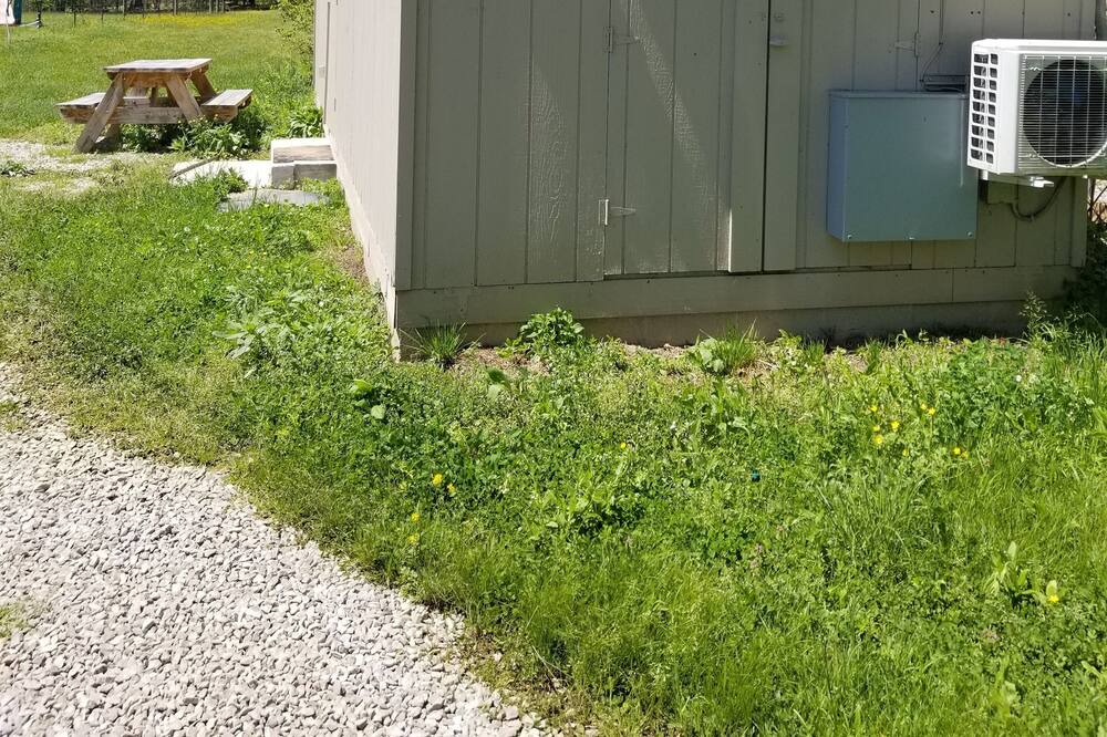 Photo of Outdoor in Wilder