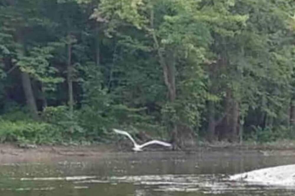 Photo of Others in South Rockwood