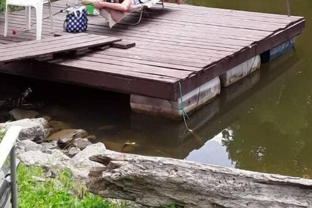 Photo of Others in South Rockwood