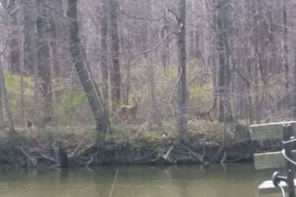 Photo of Others in South Rockwood