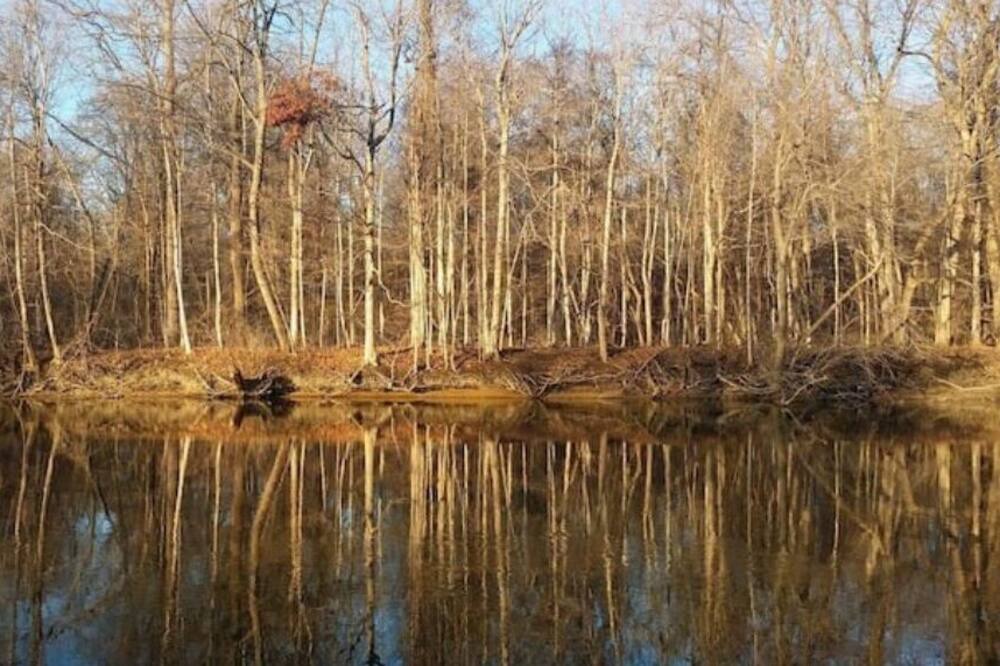 Photo of Outdoor in South Rockwood