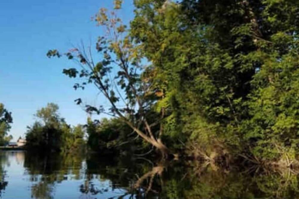 Photo of Others in South Rockwood