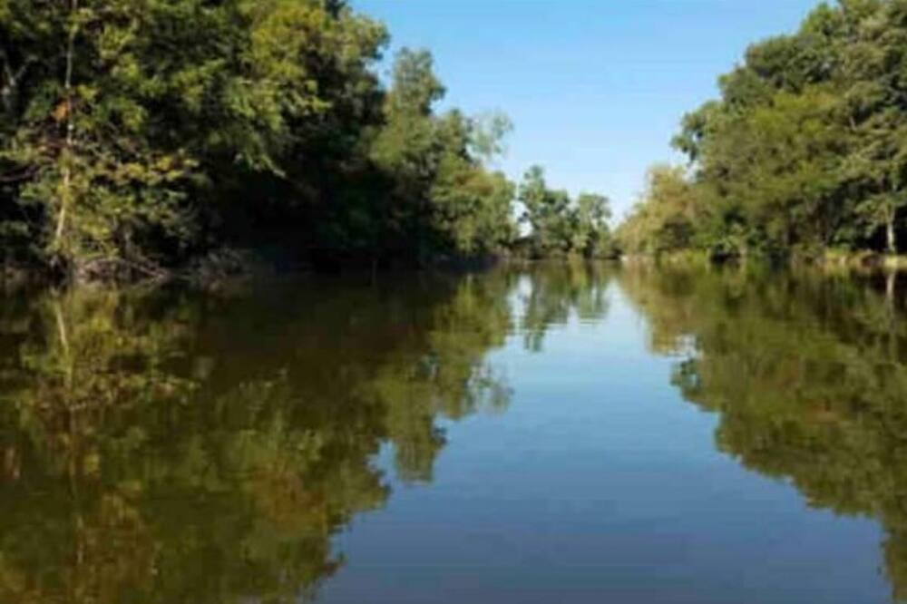 Photo of Others in South Rockwood
