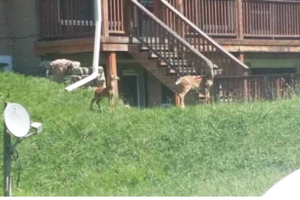 Photo of Others in South Rockwood