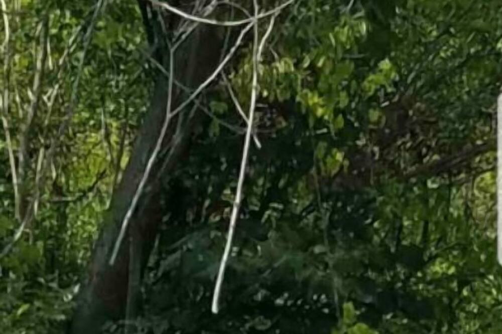 Photo of Outdoor in South Rockwood