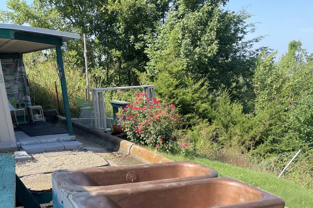 Photo of Outdoor in Saratoga