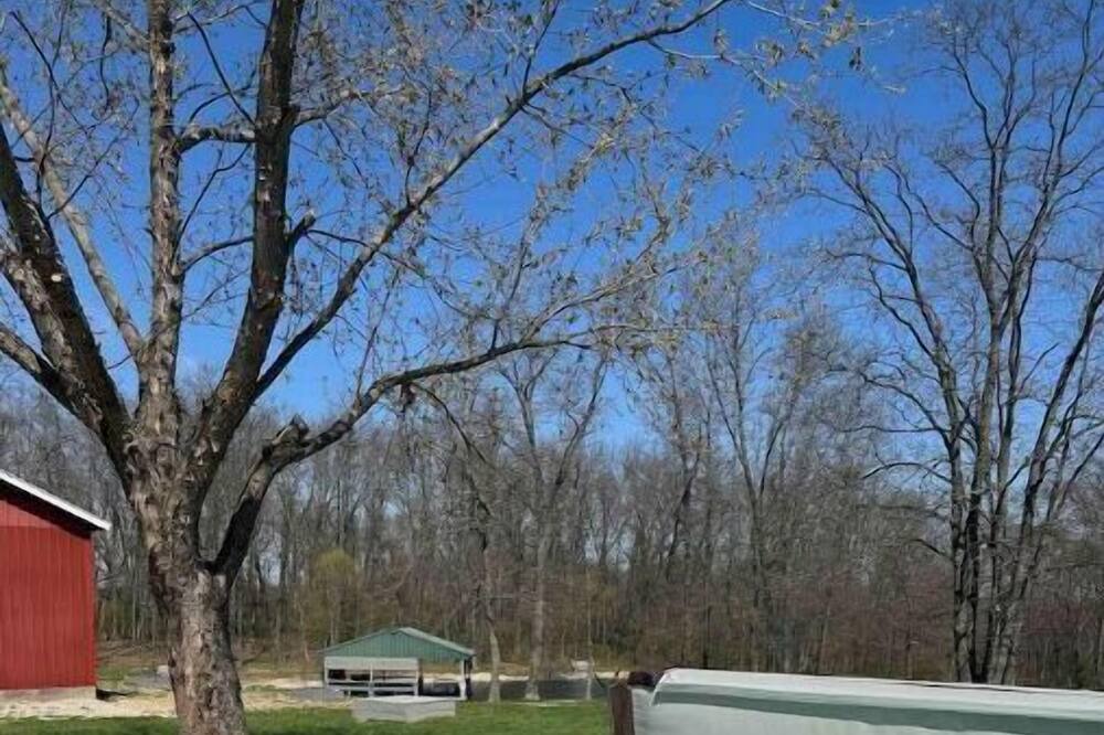 Photo of Outdoor in Hallsville