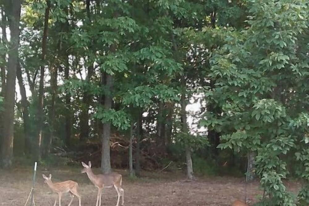 Photo of Outdoor in Hallsville