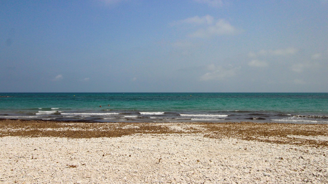 Photo of Others in Almadrava Beach