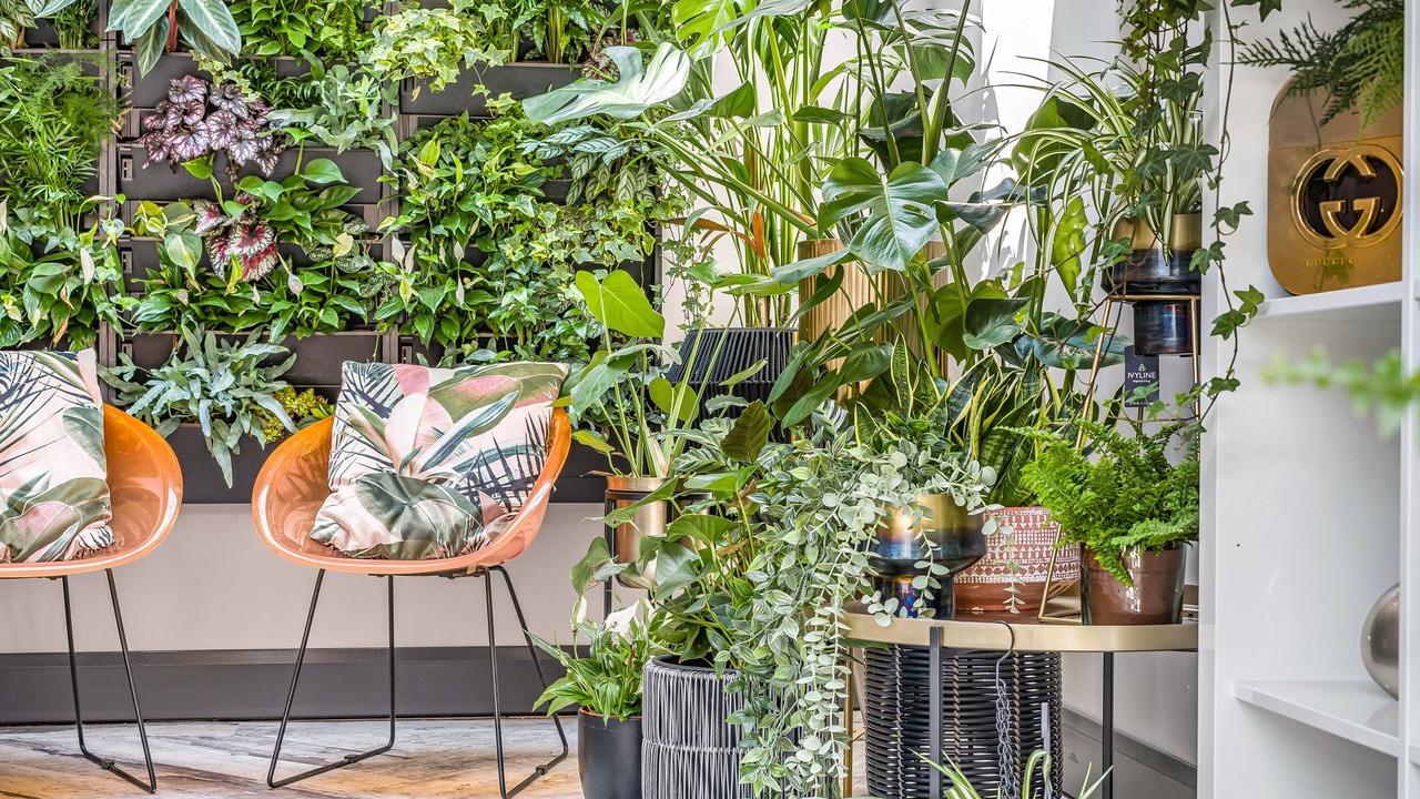 Photo of Outdoor in Kirk Sandall